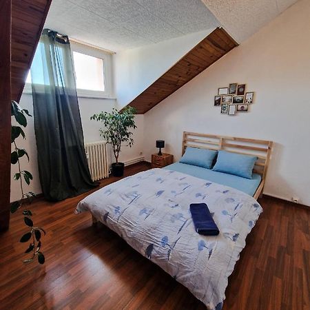 Nice Room 4 Minutes From Basel Shared Apartment Saint-Louis  Bagian luar foto