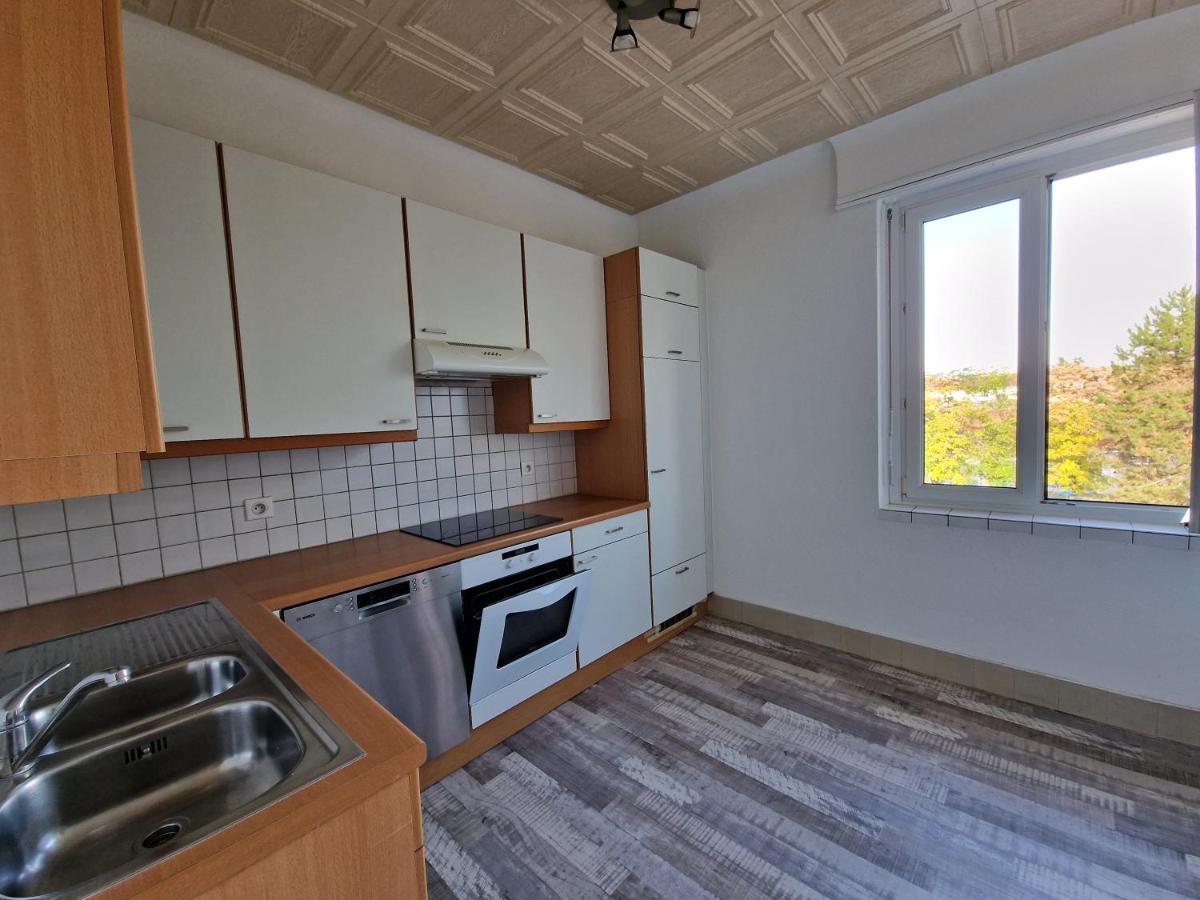 Nice Room 4 Minutes From Basel Shared Apartment Saint-Louis  Bagian luar foto