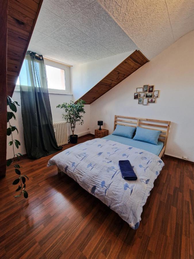 Nice Room 4 Minutes From Basel Shared Apartment Saint-Louis  Bagian luar foto