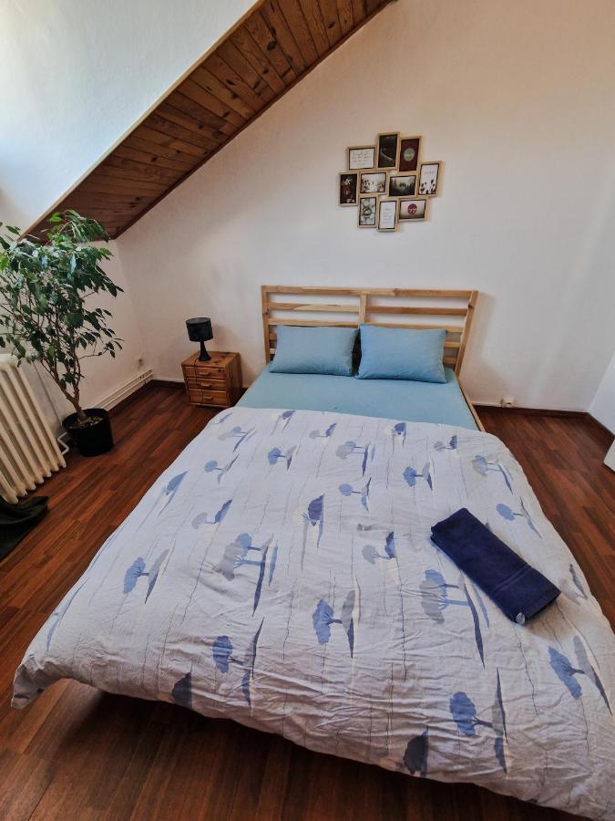 Nice Room 4 Minutes From Basel Shared Apartment Saint-Louis  Bagian luar foto