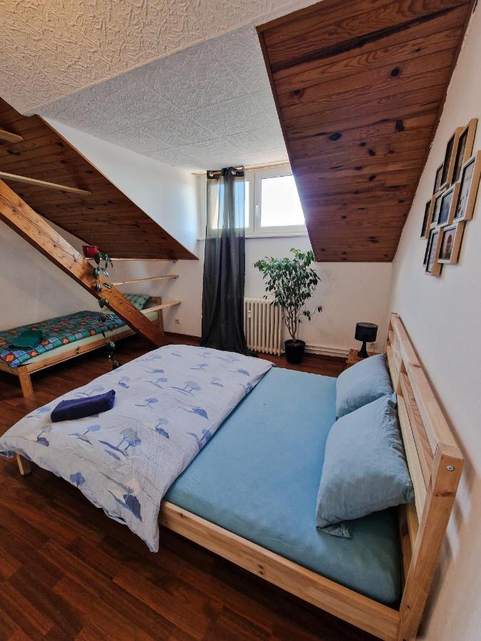Nice Room 4 Minutes From Basel Shared Apartment Saint-Louis  Bagian luar foto