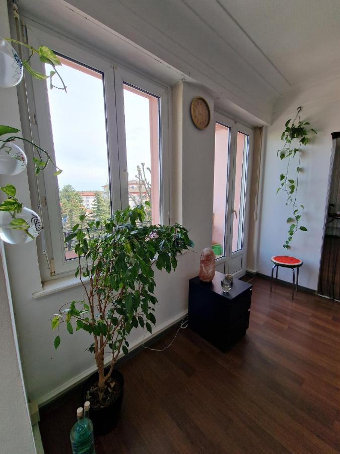 Nice Room 4 Minutes From Basel Shared Apartment Saint-Louis  Bagian luar foto